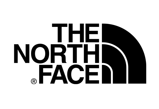 the north face logo